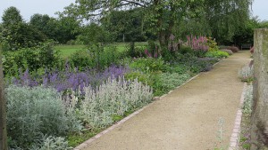Long Border looking at garden seat